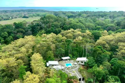 an aerial view of a house in the middle of a forest at Sharma Costa Rica - Hawk Casita in Uvita