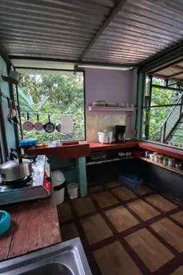 a small kitchen with a counter and a sink at Jungle Cabin w Pool & Nature Trails in Venecia