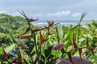 a view of the ocean from a garden with flowers at Mot Mot Vacation in Sámara