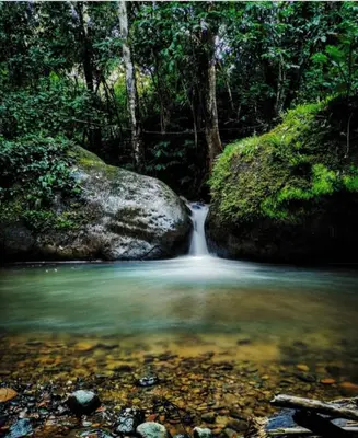 Gallery image of Montaña Verde in Rivas