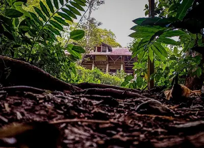 Gallery image of Montaña Verde in Rivas