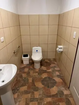 a bathroom with a toilet and a sink at RIVER SIDE LODGE in Horquetas