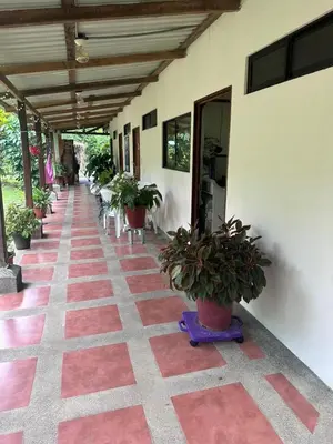 a hallway with potted plants on the side of a building at RIVER SIDE LODGE in Horquetas