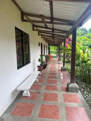 a walkway with a white bench on the side of a building at RIVER SIDE LODGE in Horquetas