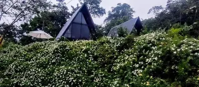 a couple of tents in a field of flowers at Yarumo Lodge, Río Celeste Black Chalets in Bijagua