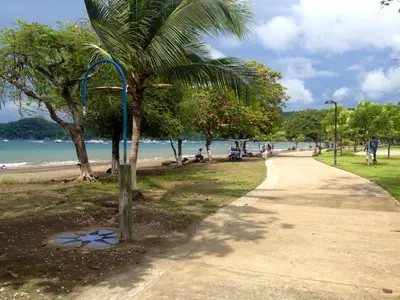 a palm tree next to a sidewalk next to a beach at Hotel M&M Beach House in Coco