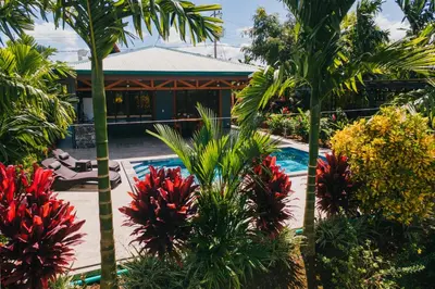 a resort with a swimming pool and palm trees at Kaluma Villas in San Ramón