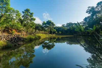 a river in the amazon jungle with trees in the background at Kaluma Villas in San Ramón