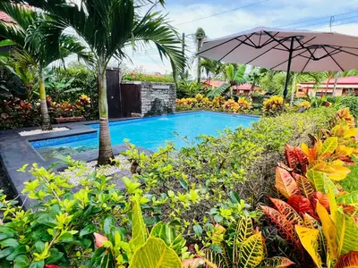 a swimming pool with an umbrella and some plants at Cabañas del Norte in Fortuna