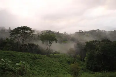 a misty hillside with trees in the background at Eden Tica Lodge in Uvita
