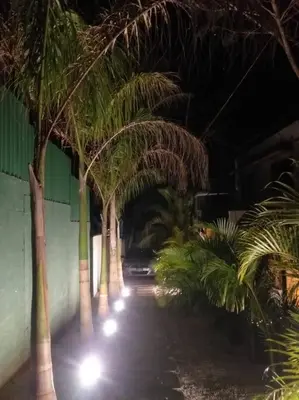 a row of palm trees in a building with lights at 1Bedroom Apt wPool Walk to beach in Tamarindo
