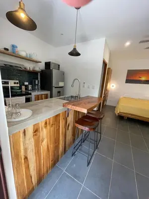 a kitchen with a counter with a sink and a bed at Guest Studio Apt Pool 300m beach in Tamarindo