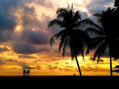 a sunset on the beach with a palm tree at Hotel & Villas Tangerí in Jacó