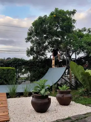 two potted plants in front of a skate ramp at Olly´s House in Turrialba