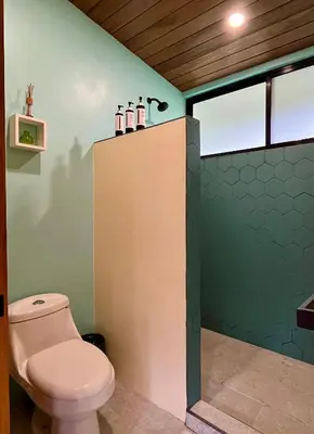 a bathroom with a toilet and a green wall at ChicoRico Studios in Uvita