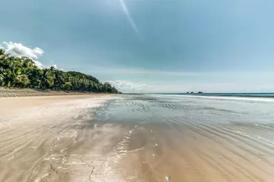 an empty beach with trees in the distance at Lost Pools Bungalows in Ojochal