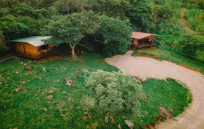 an aerial view of a house and a tree at Finca Murillo in Monteverde Costa Rica