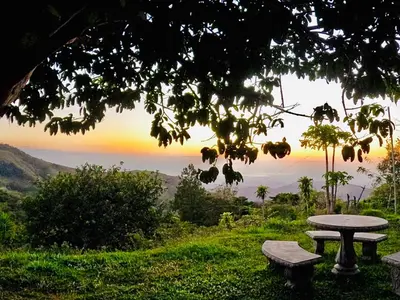 a picnic table under a tree with a sunset in the background at Finca Murillo in Monteverde Costa Rica