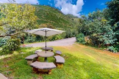 a picnic table with an umbrella in the grass at Aqua Tarrazu in Santa Cruz