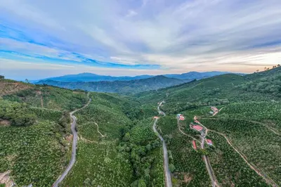 an aerial view of a winding road in the mountains at Aqua Tarrazu in Santa Cruz