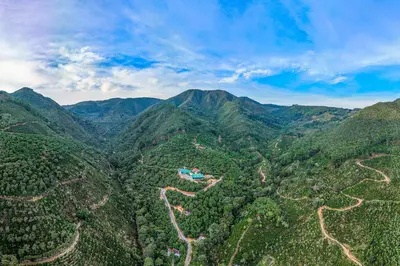 an aerial view of a mountain valley with trees at El Portal Tarrazu in Santa Cruz