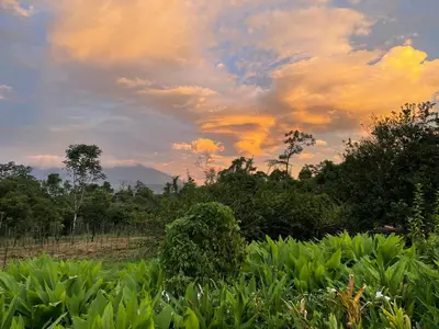 a cloudy sky with trees and plants in a field at Granja Integral Luz Del Corazon in Rincón de la Cruz