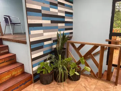 a wall with potted plants next to a staircase at Granja Integral Luz Del Corazon in Rincón de la Cruz