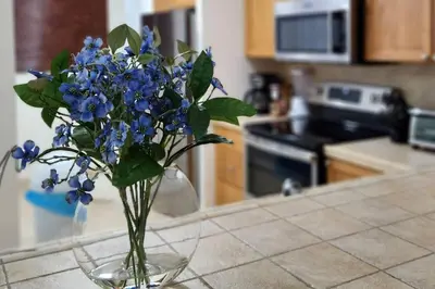 a vase filled with blue flowers on a kitchen counter at Casita Del Mar in Herradura
