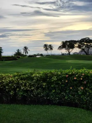 a green golf course with palm trees in the background at Casita Del Mar in Herradura