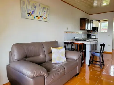 a brown leather couch in a living room with a kitchen at Volcano View Apartments in Fortuna