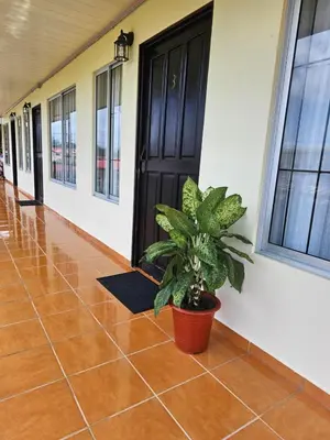 a hallway with a plant in front of a door at Volcano View Apartments in Fortuna