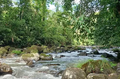 a stream of water with rocks and trees at Villas Töcu - Casa Colibrí in Fortuna