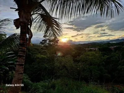 a palm tree with the sunset in the background at Casa Victoria CR in San Isidro