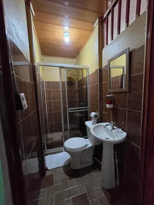 a bathroom with a toilet and a shower and a sink at Tortuguero Hill Rooms in Tortuguero