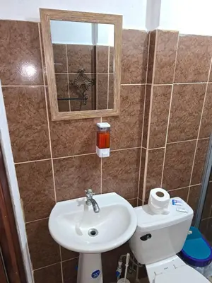 a bathroom with a sink and a mirror and a toilet at Tortuguero Hill Rooms in Tortuguero
