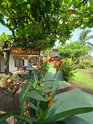 a resort with a sign that reads hoggae hill rooms at Tortuguero Hill Rooms in Tortuguero