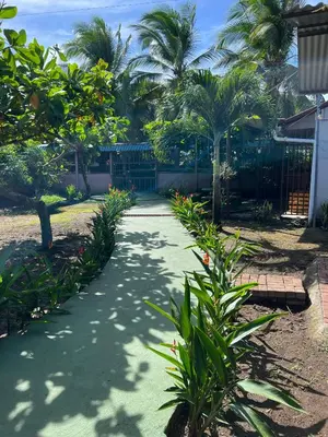 Gallery image of Tortuguero Hill Rooms in Tortuguero