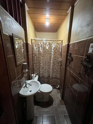 Gallery image of Tortuguero Hill Rooms in Tortuguero