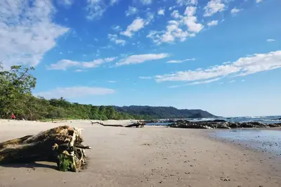 a beach with a log on the sand at Stunning House! Villa Kalapiti - Blue Zone Costa Rica in Delicias