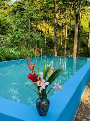a vase with flowers in it sitting on a table at Siquirres Mountain Lodge in Siquirres