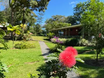 a house with a red flower in a yard at Siquirres Mountain Lodge in Siquirres