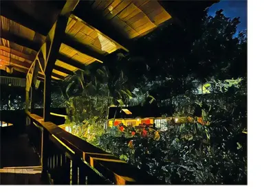 a group of plants sitting under a roof at Casa Rio Blanco Eco Friendly B&B in Guápiles