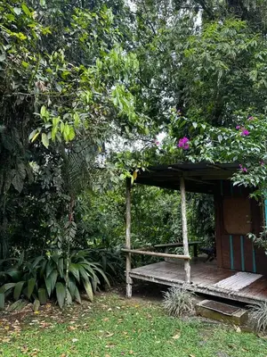 a wooden bench sitting under a shelter in a garden at Casa Rio Blanco Eco Friendly B&B in Guápiles