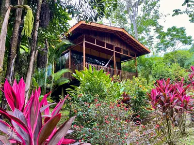 a building in the middle of a garden with plants at Hotel Heliconias Nature Inn & Hot Springs in Fortuna