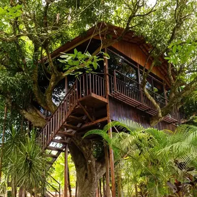 Hotel Heliconias Nature Inn & Hot Springs