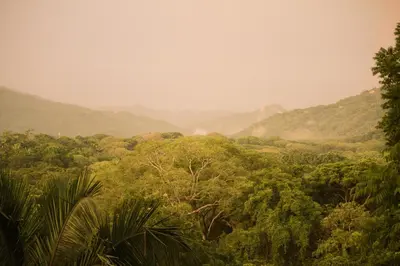 a view of a jungle with mountains in the background at Nosara Sunrise Bed and Breakfast in Nosara