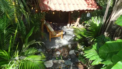 an overhead view of a garden with a bench at Nosara Sunrise Bed and Breakfast in Nosara