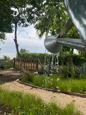 a close up of a water droplet at La casa del Artesano !Casa completa frente al mar! in Santa Cruz