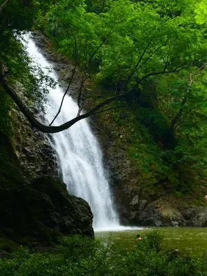 a waterfall on the side of a mountain with trees at Maoritsio Garden Studios in Santa Teresa Beach