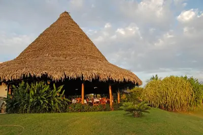 a hut with a straw roof on a grass field at Guacamaya Lodge in Paraíso